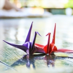 災害時に、空き家を有効活用するために、今やっておきたいこと。