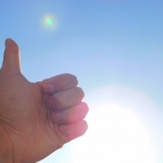 実家にそびえ立つ「シュロの木」の倒し方〜完結編〜