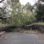 【台風１９号】交通網が遮断！遠方の実家の管理手段も考えさせられます。