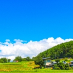 ６年間売れない土地