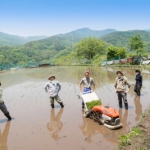 【副業農業】実家の田畑を生活のために使ってもらう選択肢。