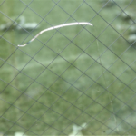 空き家の実家のガラスは割れていませんか？