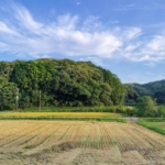 農地は簡単に手放せない？種類と制限・相続国庫帰属制度を解説