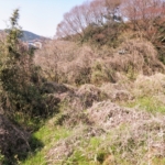 不要な土地を高齢の親から引き継がないために〜子どもに“負の遺産”を残さない選択〜